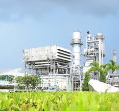 1750335800_images - 2025-06-19T175251.550.jpeg